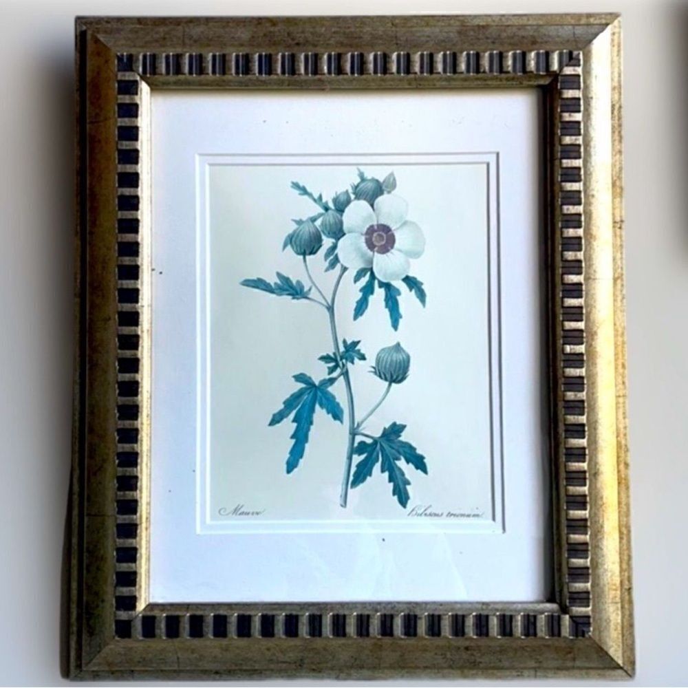 Anton Mauve’s Hibiscus Trionum Framed & Matted Print (17.5x15)